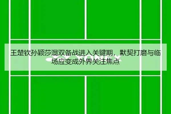 img_1781330052598_50_1_289.jpg